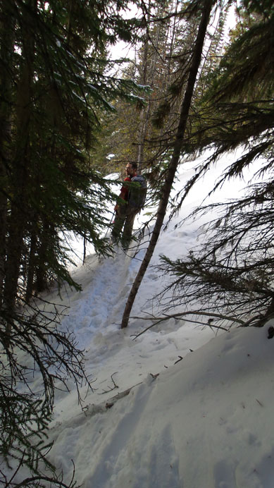 Some sections weren't easy...