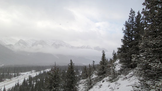 A view of Bow Valley