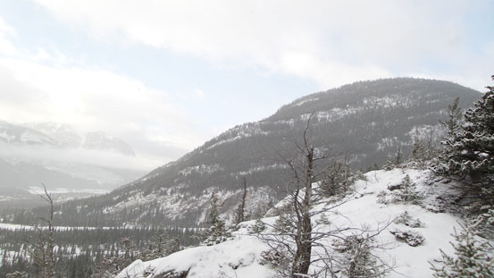 Exshaw Mountain. A treed bump but has more than 400 vertical meters to gain.