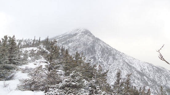 Looking up the ascent ridge