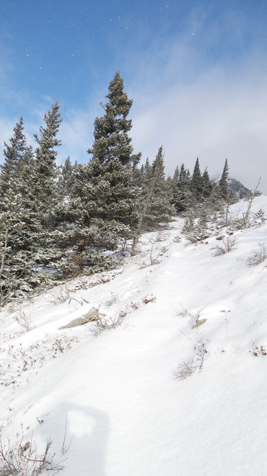 At this point we were still able to follow this faint trail up