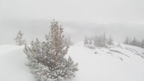 Near the top. Minimal views.