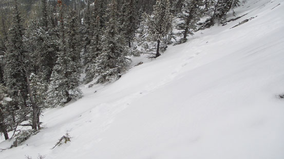 Traversing snow covered slabs...