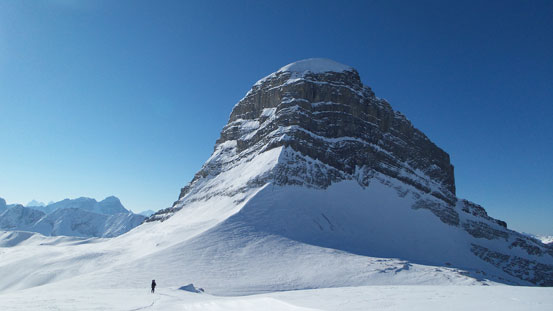 Then looking back at Niles from Niles/Daly col
