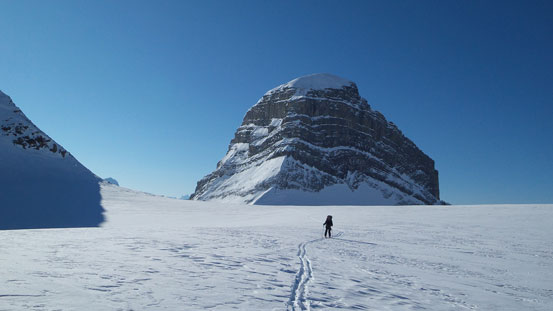 Looking back towards Mt. Niles from Waputik Icefield
