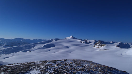 Waputik Icefield from the summit. Mt. Balfour, out objective for the next day, is the highest one.