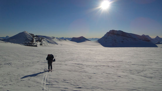 Higher up on the icefield