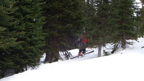 Ben carefully negotiating the steep treed section