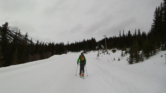 Skinning up the road