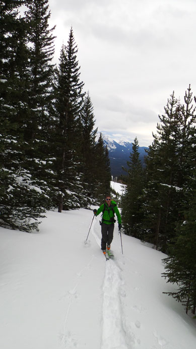 Skinning up the power line