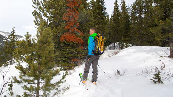 Vern enjoying the views along the lower ridge