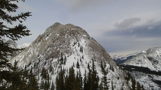 Finally the upper ridge came into view. We ditched skis here