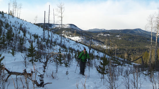 Easy snowshoeing terrain