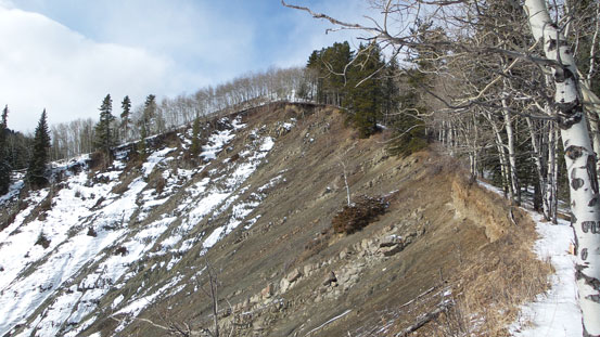 We came to this erosion bank