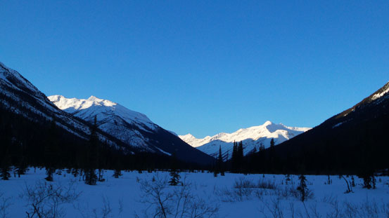 Travelling up this wide meadow