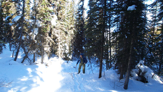 Higher up the creek it gets better