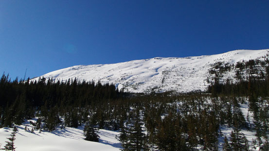 Finally got some views.