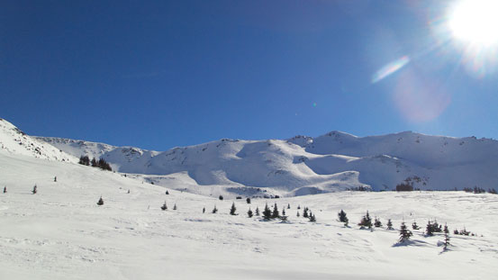 Beautiful alpine environment