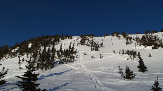 Descending the steepest slope at treeline