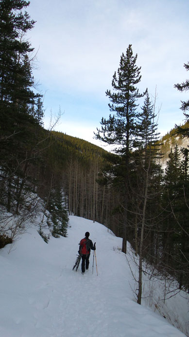 Typical view from Powderface Creek trail