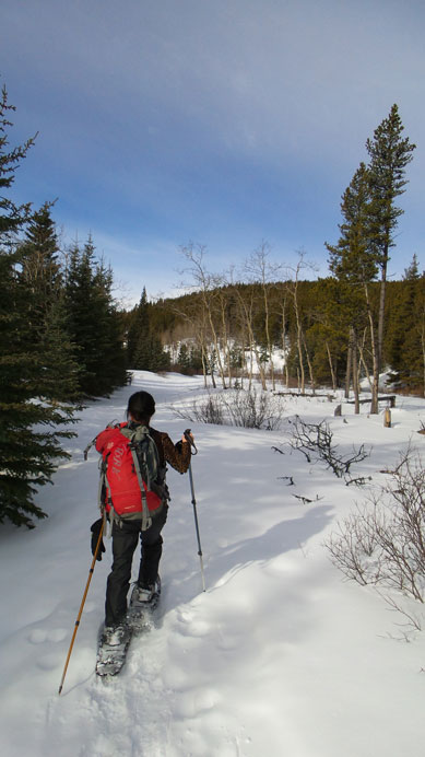 Further in we strapped snowshoes on