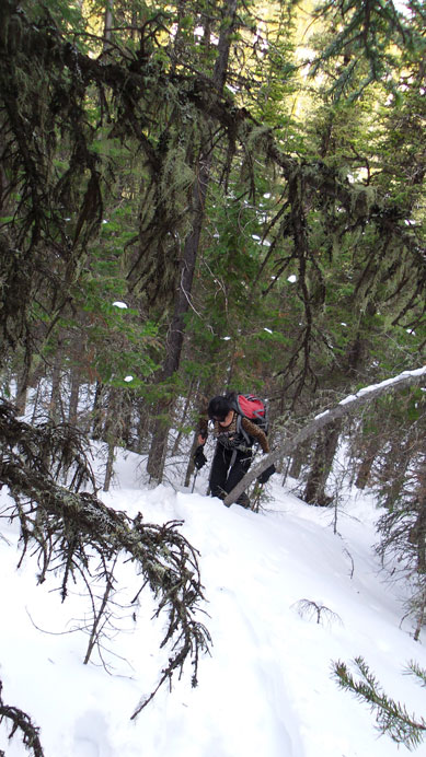 Snow was horrible once leaving the trail