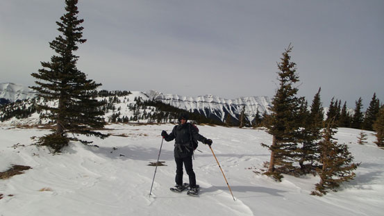It was very windy on the alpine