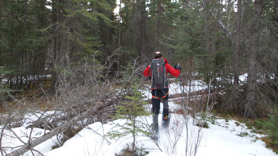 Started bushwhacking