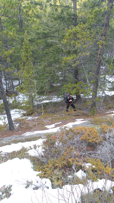 Steep terrain in the forest