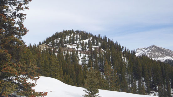 Gained the main ridge, looking up