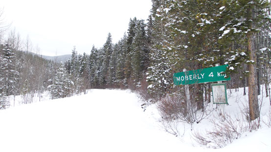 Look for this sign and follow it.