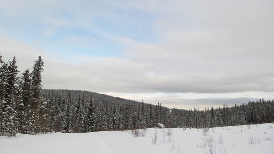 Some views from the ascent