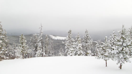 Not much of a view towards the front range.