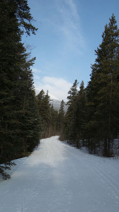 Typical view from the Fire Road