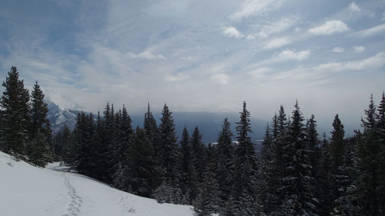 As you can see, Jasper and the Parkway was soaked