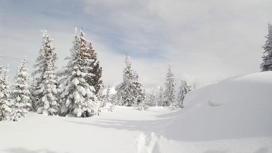 View from the descent