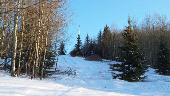 Snowshoeing up the cut block