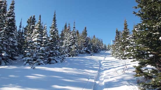 Losing elevation down to the col.