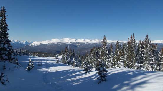Looking back towards Lightning Ridge