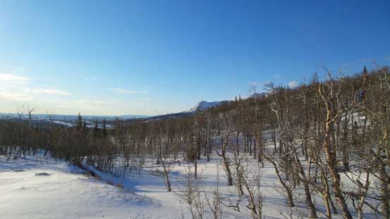 Typical vegetation. There's no bushwhacking