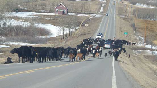 Not something you'd often see