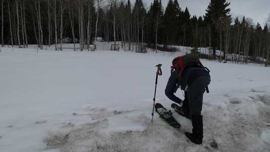 Strapping snowshoes on