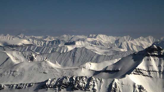 A sea of front-range peaks by Southern Jasper Park