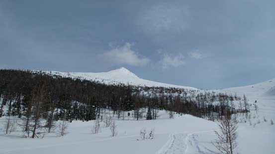 Upon reaching the upper draw, looking ahead towards the summit