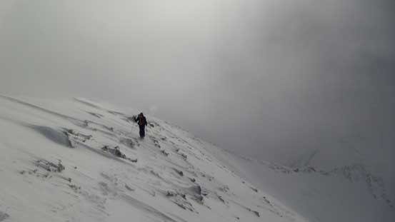 Into the white out again...