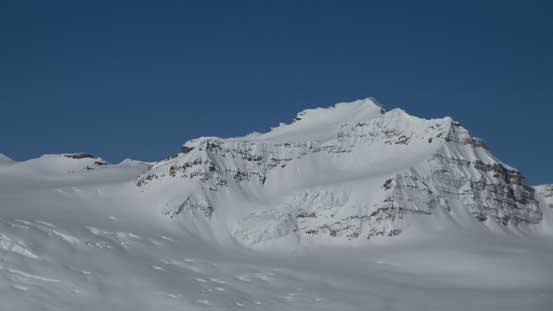 Our objective, the mighty Collie...