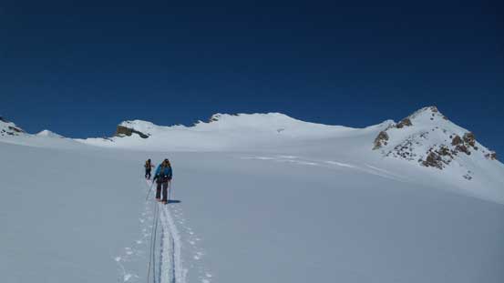 Onto Collie shoulder now