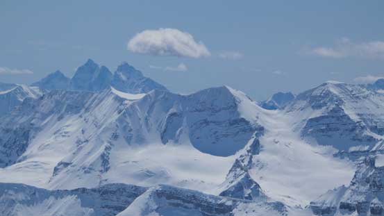 Goodsirs rise behind The Presidents