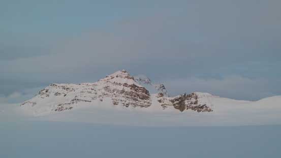 The mighty Collie at sunrise hour