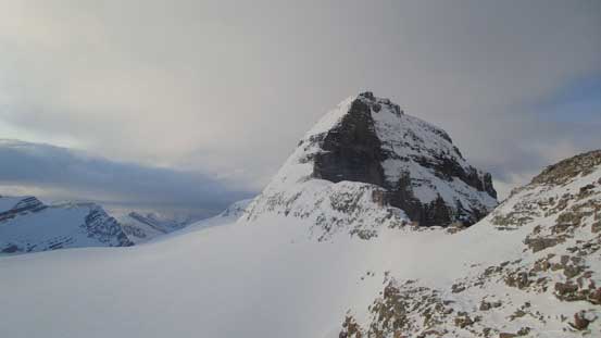 Looking back. Impressive "Colliesha"